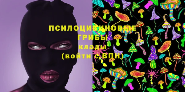 мет Богданович