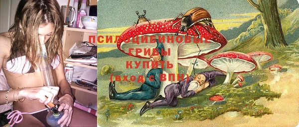 дурь Белокуриха